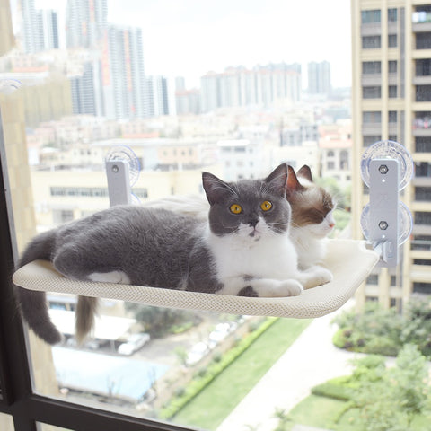 Suction Cup Cat Window Hammock