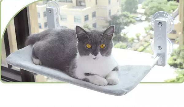 Suction Cup Cat Window Hammock