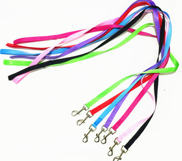 Durable Nylon Dog Leash for Small Pets